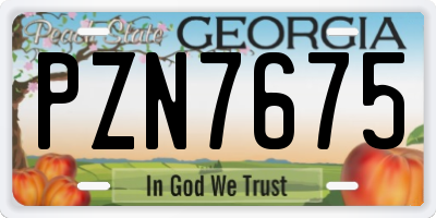 GA license plate PZN7675