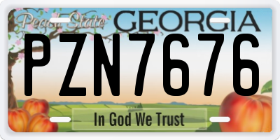 GA license plate PZN7676