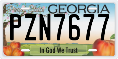 GA license plate PZN7677