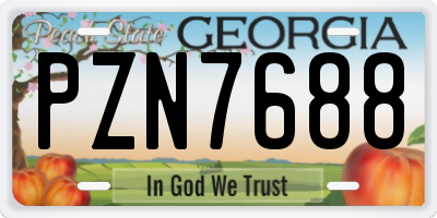 GA license plate PZN7688