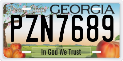 GA license plate PZN7689