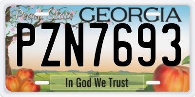 GA license plate PZN7693