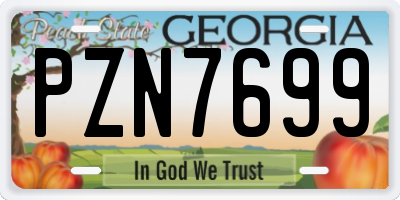 GA license plate PZN7699