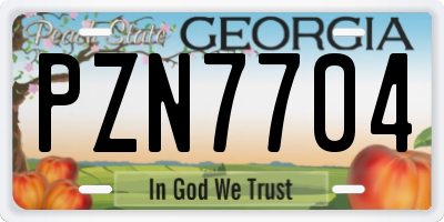 GA license plate PZN7704