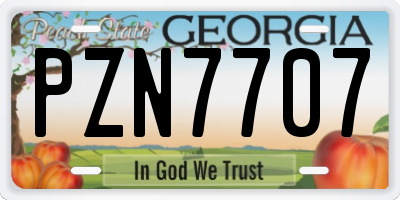 GA license plate PZN7707