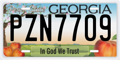 GA license plate PZN7709