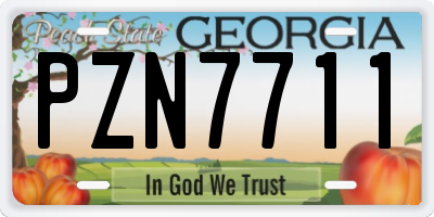 GA license plate PZN7711