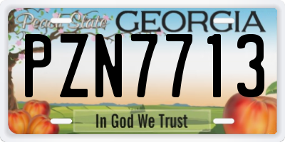 GA license plate PZN7713