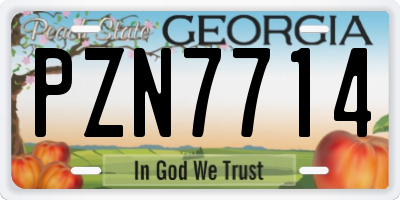 GA license plate PZN7714