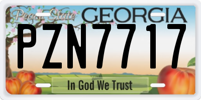 GA license plate PZN7717