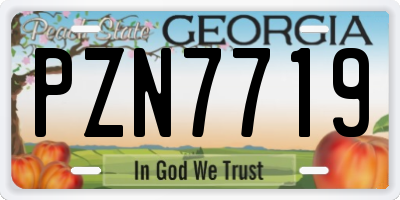 GA license plate PZN7719