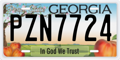 GA license plate PZN7724