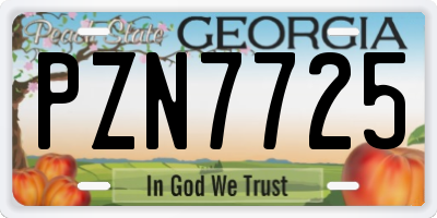 GA license plate PZN7725