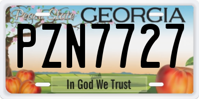 GA license plate PZN7727