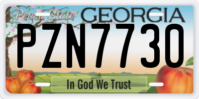 GA license plate PZN7730