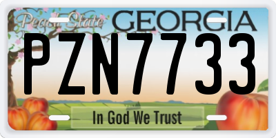 GA license plate PZN7733