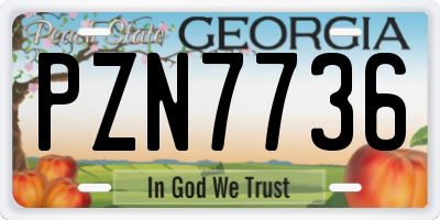 GA license plate PZN7736