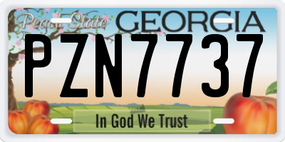 GA license plate PZN7737