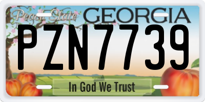 GA license plate PZN7739