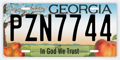 GA license plate PZN7744