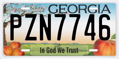 GA license plate PZN7746