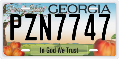 GA license plate PZN7747