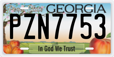 GA license plate PZN7753