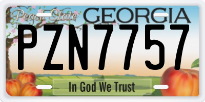 GA license plate PZN7757