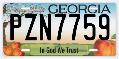 GA license plate PZN7759