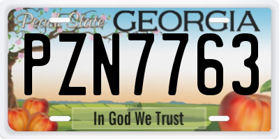 GA license plate PZN7763