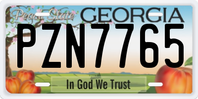 GA license plate PZN7765