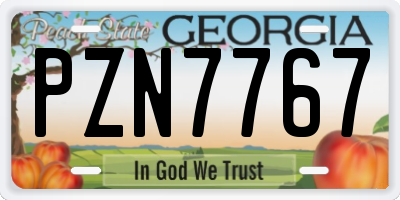 GA license plate PZN7767