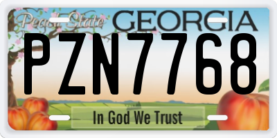 GA license plate PZN7768