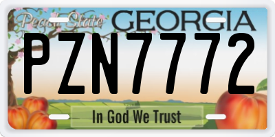 GA license plate PZN7772