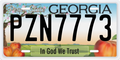 GA license plate PZN7773
