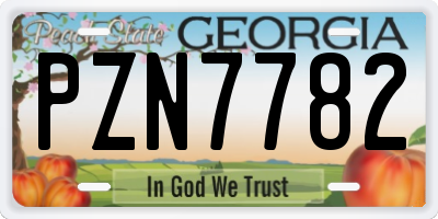 GA license plate PZN7782