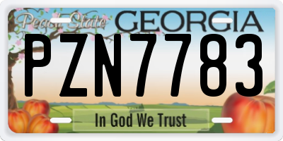 GA license plate PZN7783