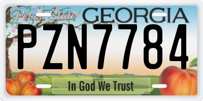 GA license plate PZN7784