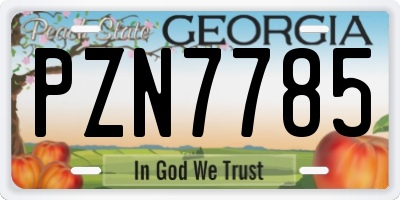 GA license plate PZN7785