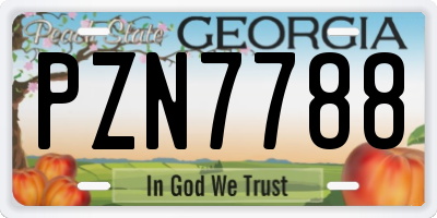 GA license plate PZN7788