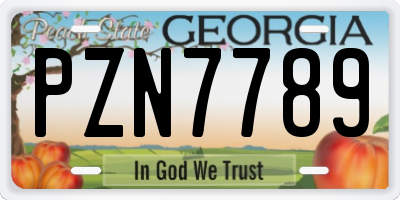 GA license plate PZN7789