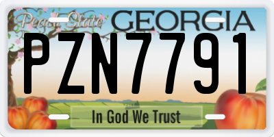 GA license plate PZN7791