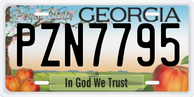 GA license plate PZN7795
