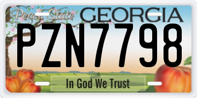 GA license plate PZN7798