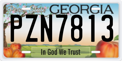 GA license plate PZN7813