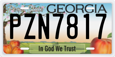 GA license plate PZN7817