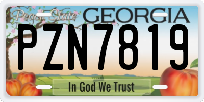 GA license plate PZN7819