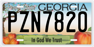 GA license plate PZN7820