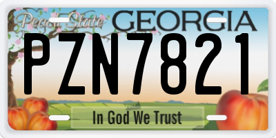 GA license plate PZN7821