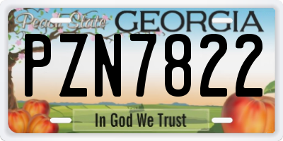 GA license plate PZN7822